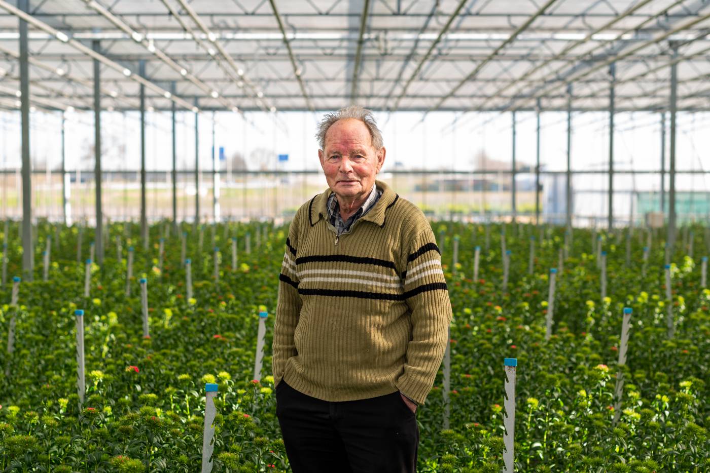 Foto man in de kas